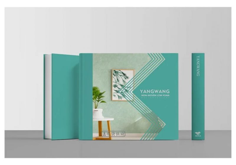 煥新墻面美學(xué)，洛陽北臺新品《仰望》上市！